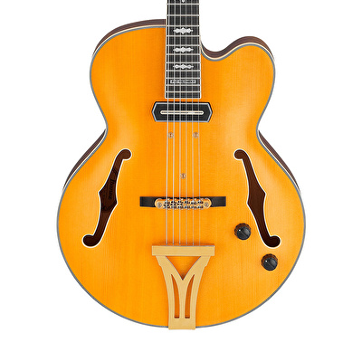 Ibanez PM3C-NAL Pat Metheny Signature Natürel Hollow Body Elektro Gitar